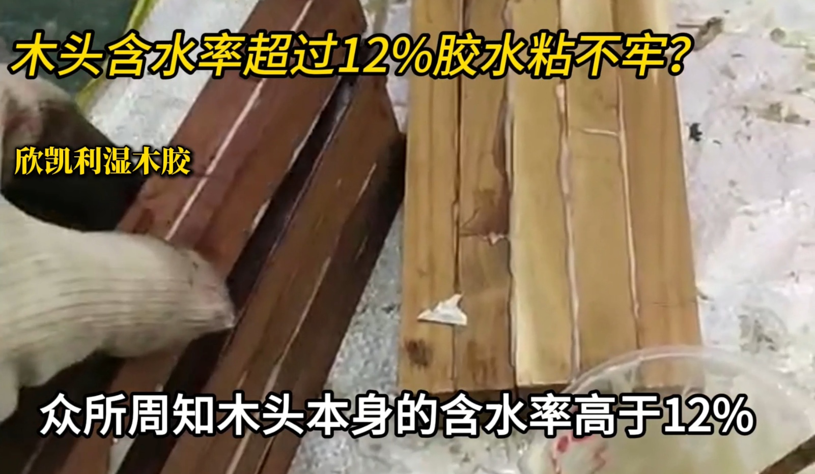 欣凯利湿木胶可用于：橡木、胡桃木、枫木、樱桃木松木、杉木等木种