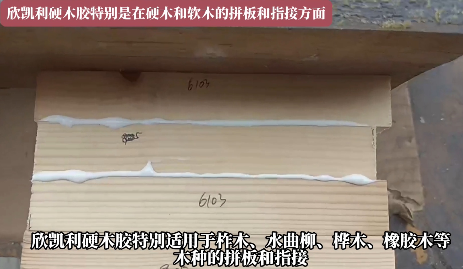 欣凯利硬木胶特别是在硬木和软木的拼板和指接方面