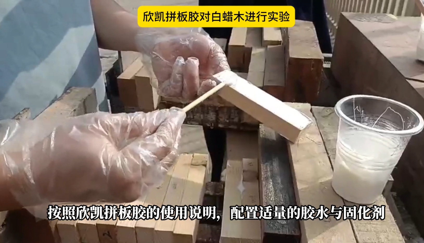 欣凯利拼板胶对白蜡木进行实验