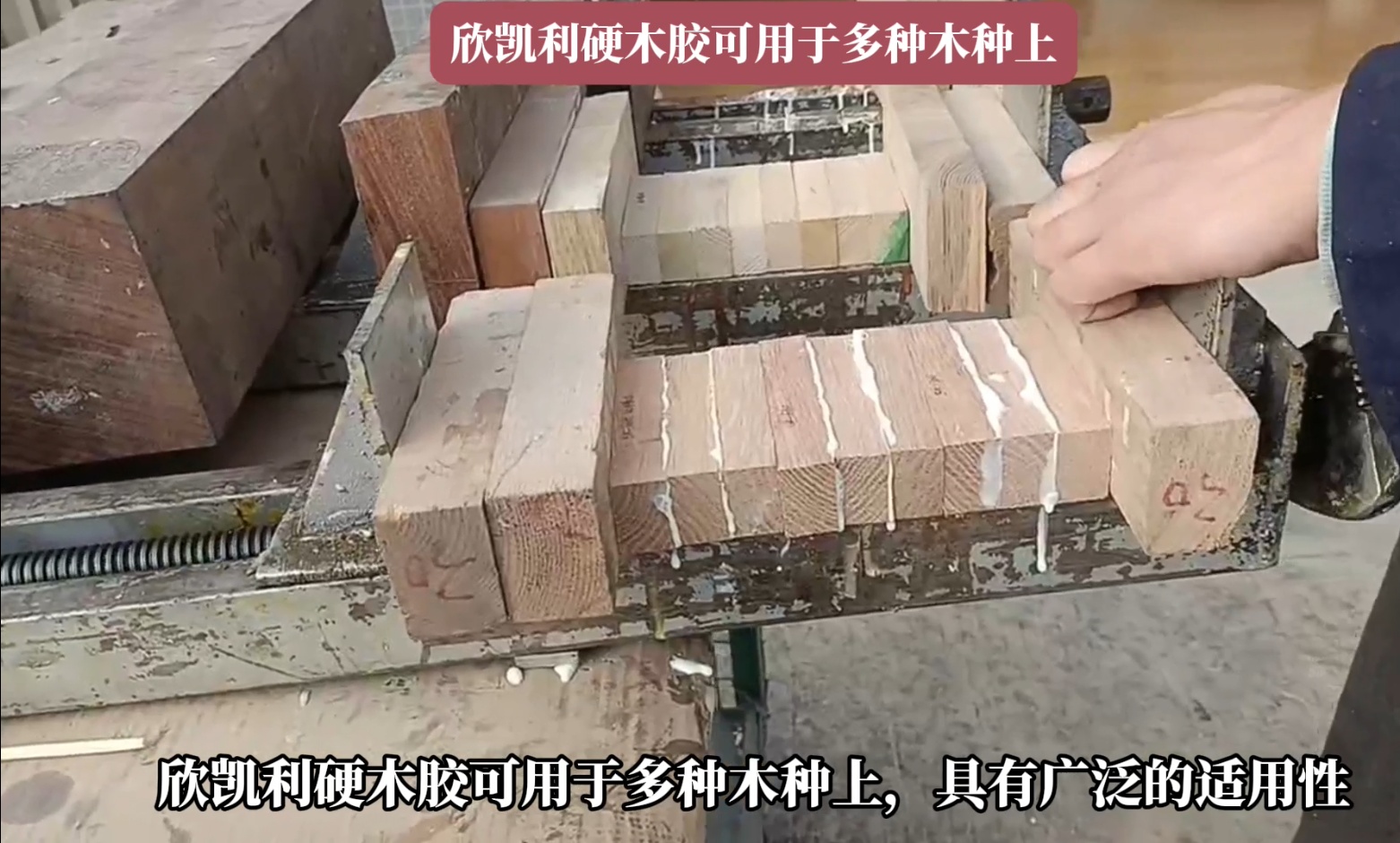 欣凯利硬木胶能够深入木材裂缝和孔洞，形成牢固的粘接层